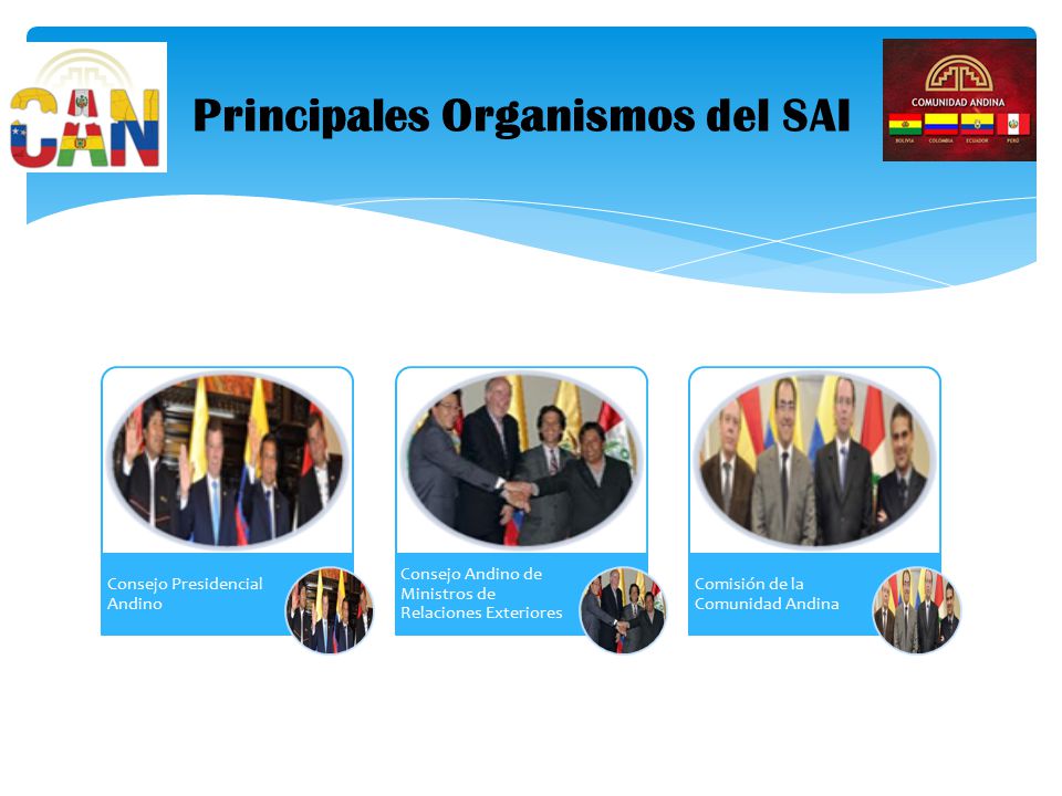 Principales Organismos del SAI