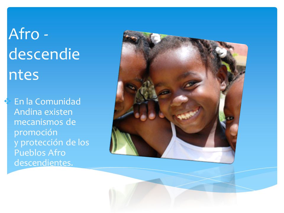 Afro -descendientes En la Comunidad Andina existen mecanismos de promoción y protección de los Pueblos Afro descendientes.