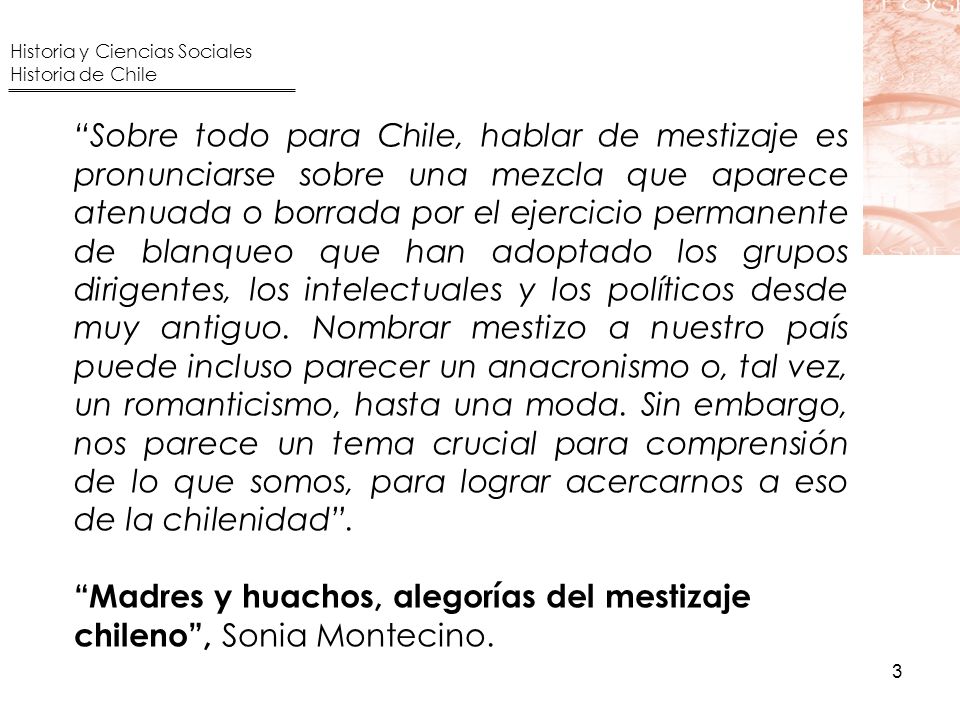 Madres y huachos, alegorías del mestizaje chileno , Sonia Montecino.