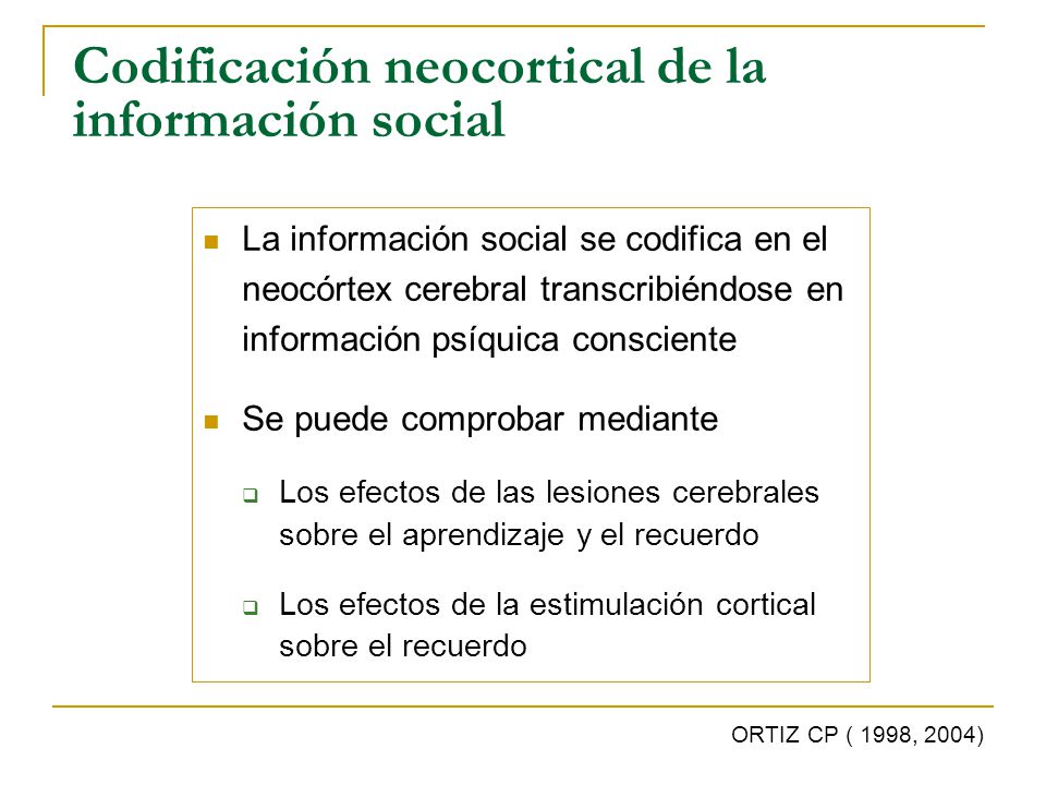 Codificación neocortical de la información social