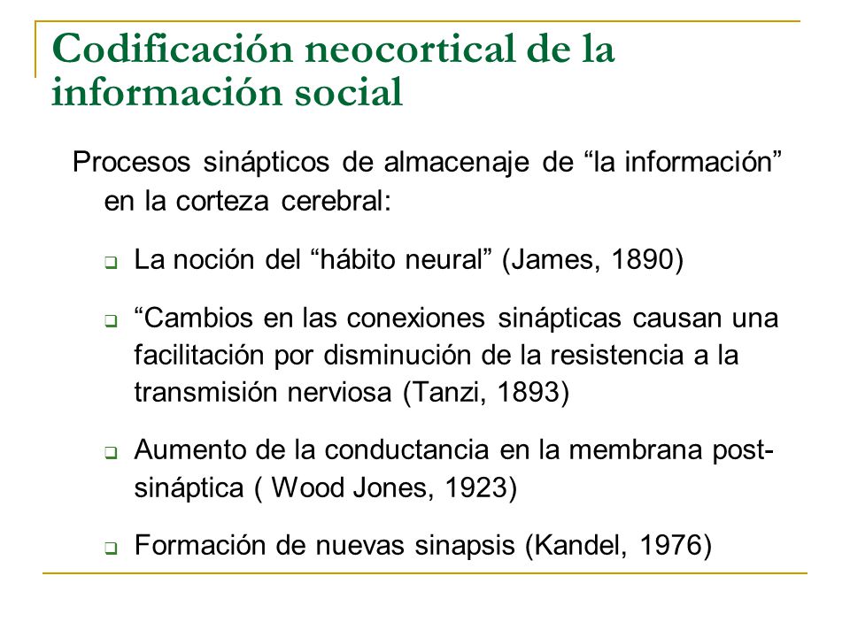 Codificación neocortical de la información social