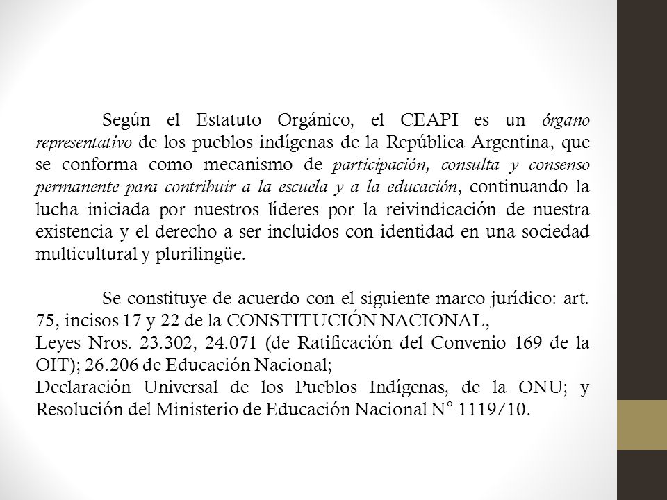 Según el Estatuto Orgánico, el CEAPI es un órgano representativo de los pueblos indígenas de la República Argentina, que se conforma como mecanismo de participación, consulta y consenso permanente para contribuir a la escuela y a la educación, continuando la lucha iniciada por nuestros líderes por la reivindicación de nuestra existencia y el derecho a ser incluidos con identidad en una sociedad multicultural y plurilingüe.