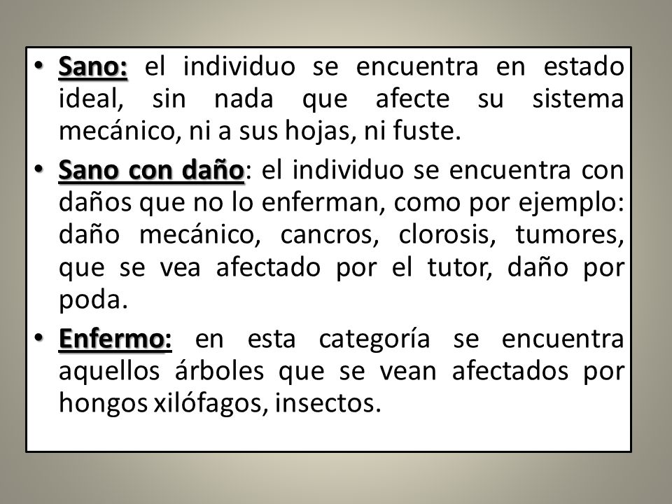 Sano: el individuo se encuentra en estado ideal, sin nada que afecte su sistema mecánico, ni a sus hojas, ni fuste.