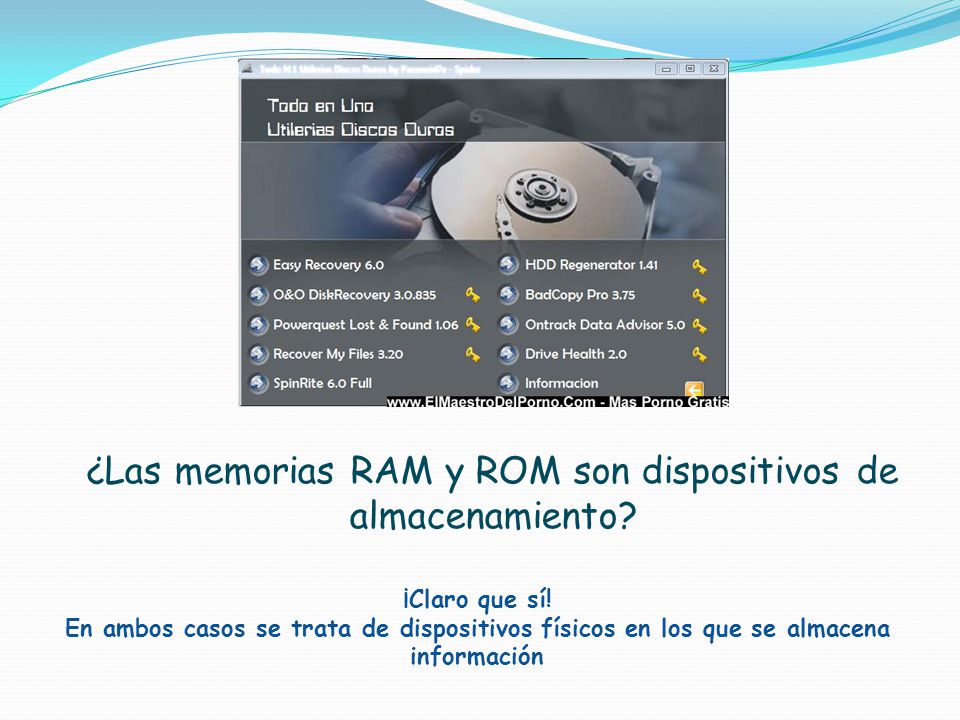 ¿Las memorias RAM y ROM son dispositivos de almacenamiento