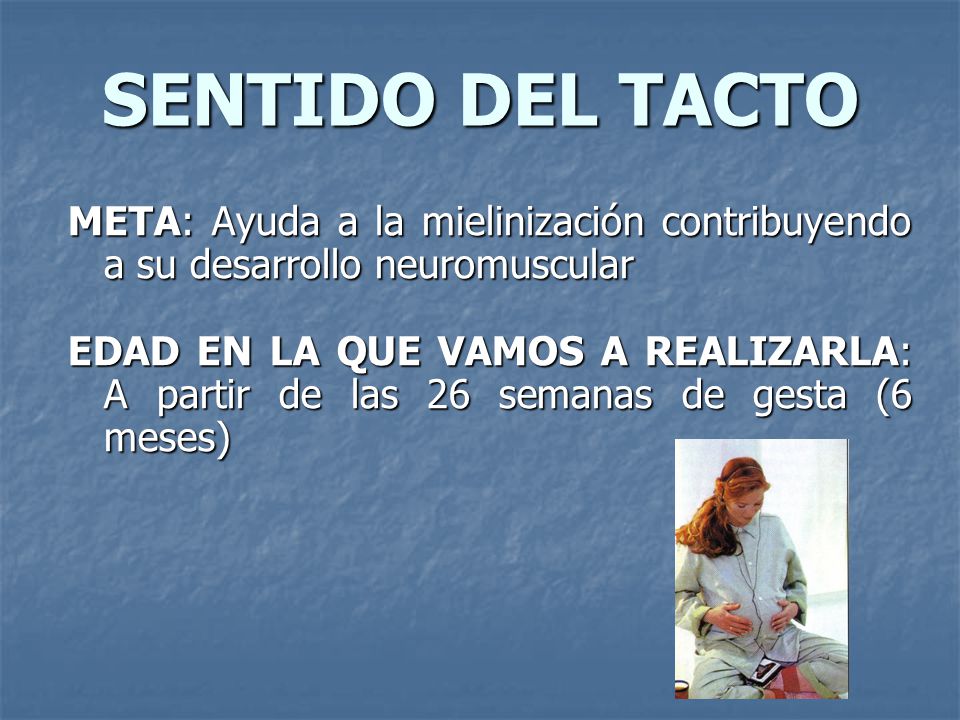 SENTIDO DEL TACTO META: Ayuda a la mielinización contribuyendo a su desarrollo neuromuscular.
