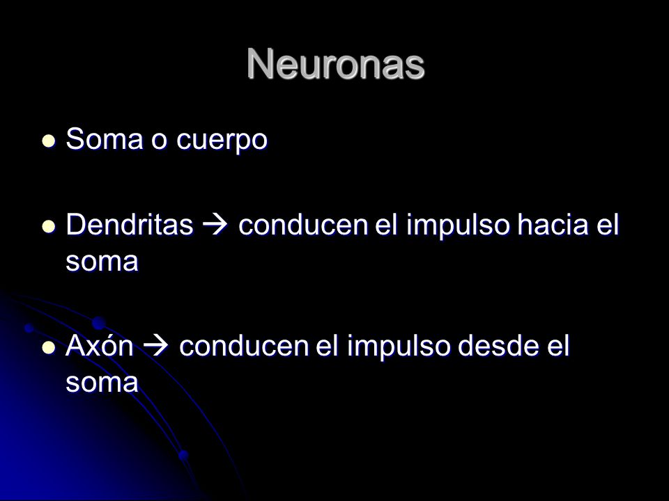 Neuronas Soma o cuerpo Dendritas  conducen el impulso hacia el soma