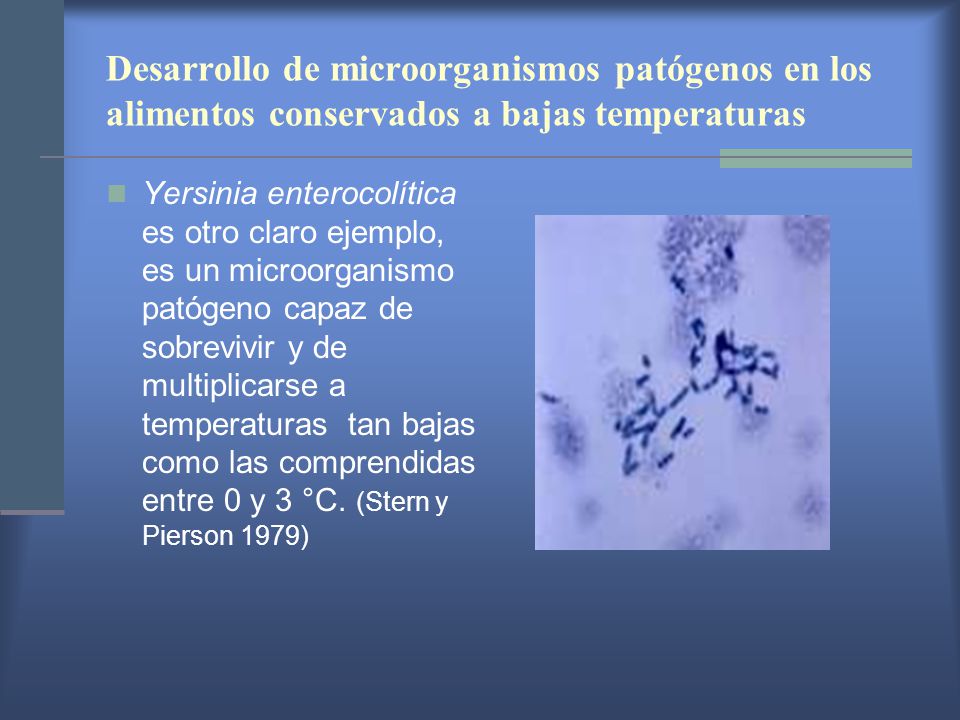 Desarrollo de microorganismos patógenos en los alimentos conservados a bajas temperaturas