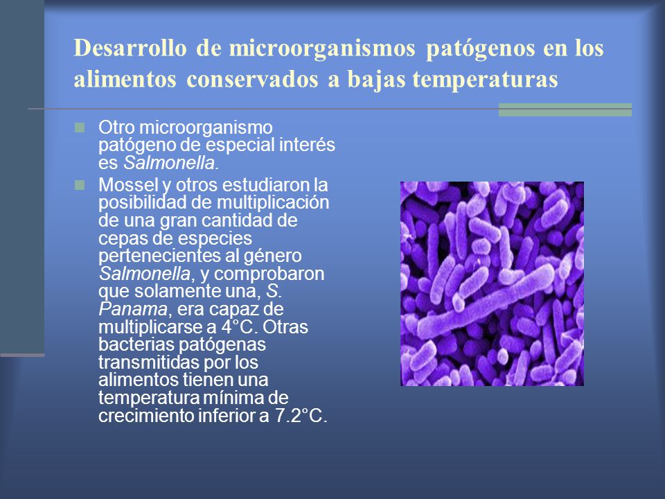 Desarrollo de microorganismos patógenos en los alimentos conservados a bajas temperaturas