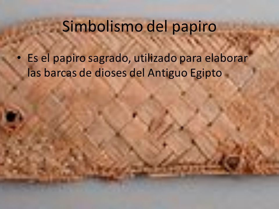 Simbolismo del papiro Es el papiro sagrado, utilizado para elaborar las barcas de dioses del Antiguo Egipto.