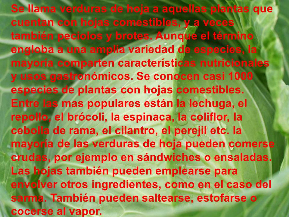 Se llama verduras de hoja a aquellas plantas que cuentan con hojas comestibles, y a veces también peciolos y brotes.