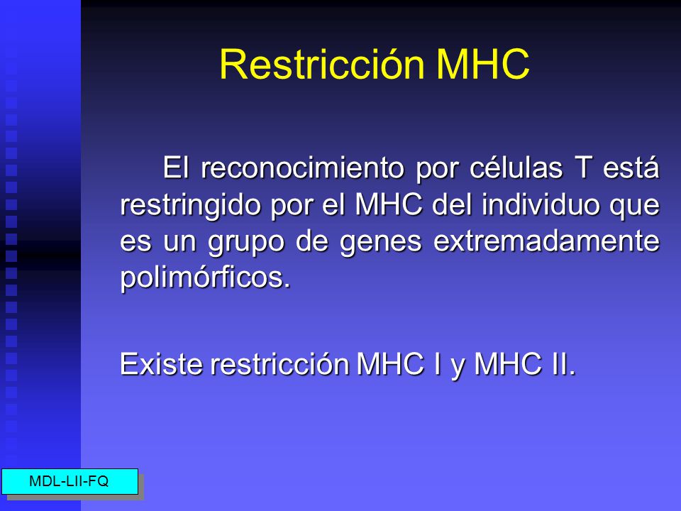 Restricción MHC El reconocimiento por células T está restringido por el MHC del individuo que es un grupo de genes extremadamente polimórficos.