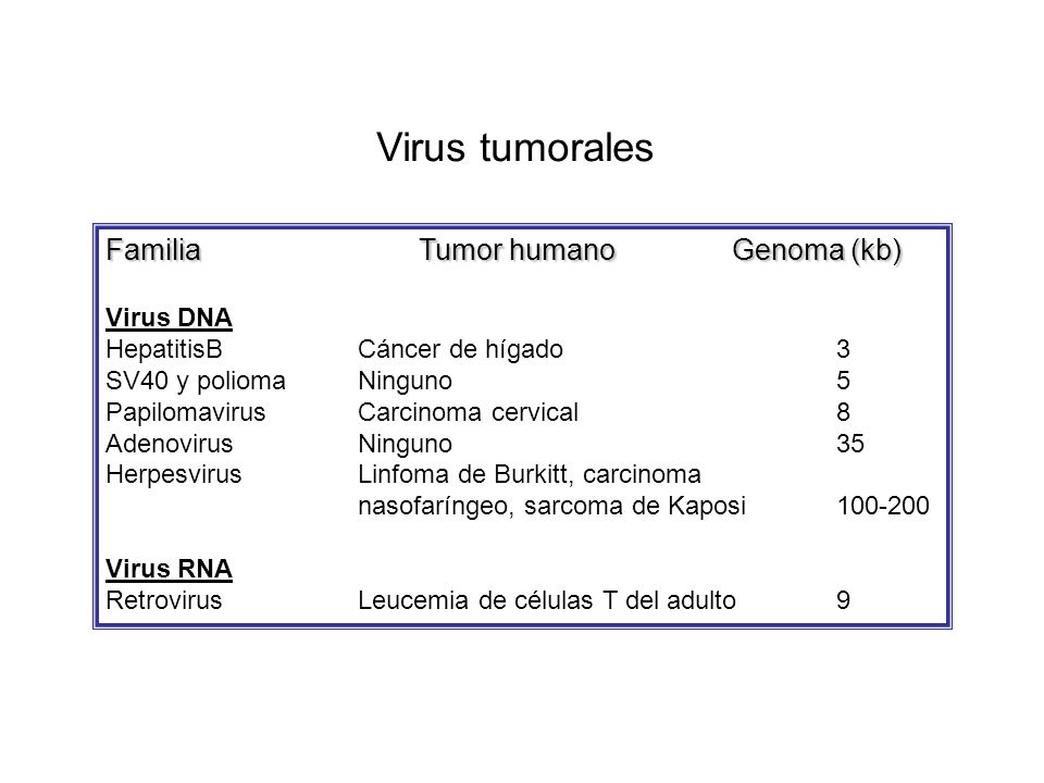 Virus tumorales Familia Tumor humano Genoma (kb) Virus DNA