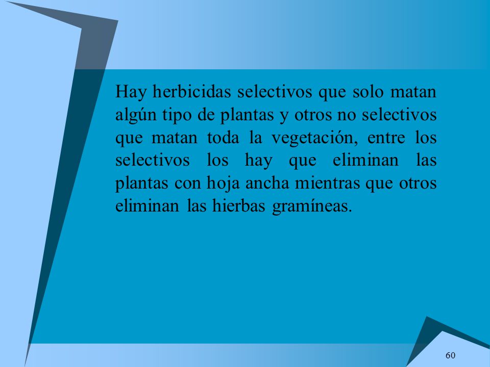 Hay herbicidas selectivos que solo matan algún tipo de plantas y otros no selectivos que matan toda la vegetación, entre los selectivos los hay que eliminan las plantas con hoja ancha mientras que otros eliminan las hierbas gramíneas.