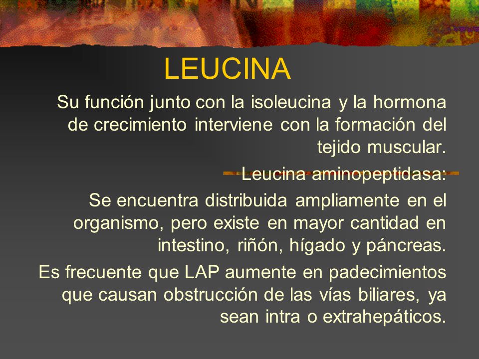 LEUCINA Su función junto con la isoleucina y la hormona de crecimiento interviene con la formación del tejido muscular.
