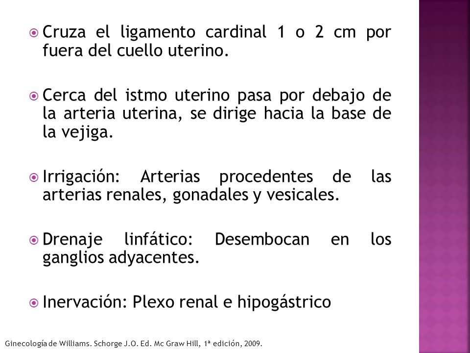 Cruza el ligamento cardinal 1 o 2 cm por fuera del cuello uterino.