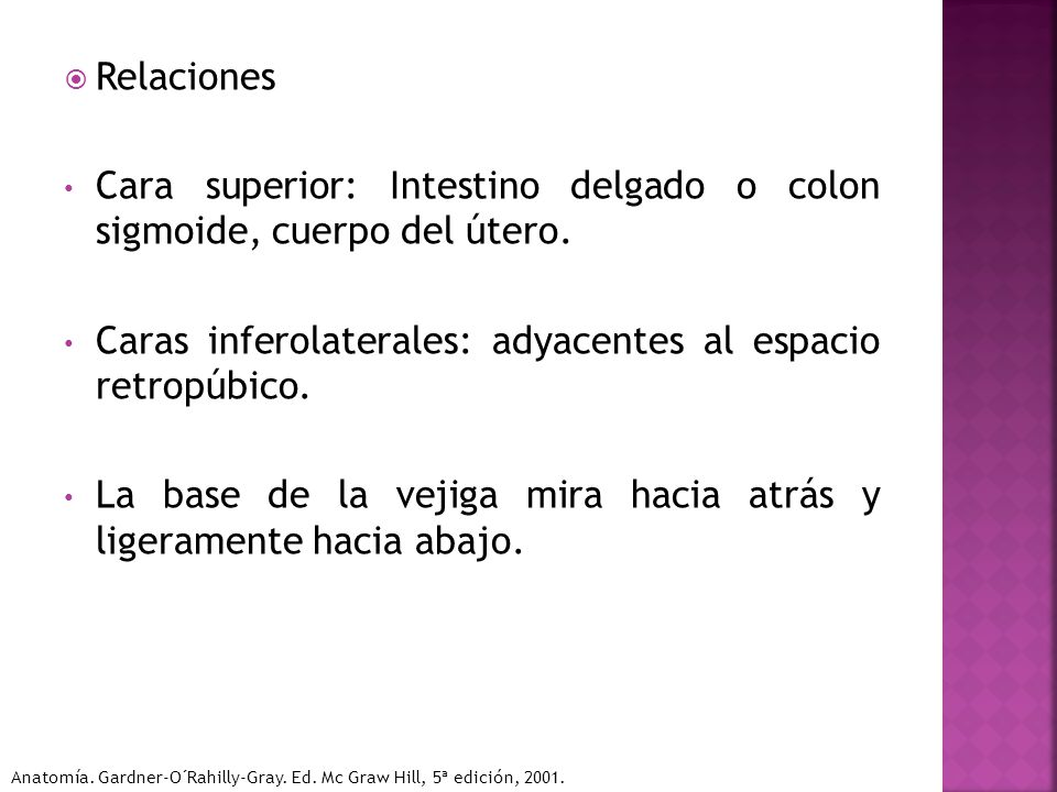 Cara superior: Intestino delgado o colon sigmoide, cuerpo del útero.