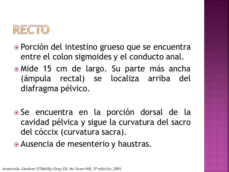 Recto Porción del intestino grueso que se encuentra entre el colon sigmoides y el conducto anal.