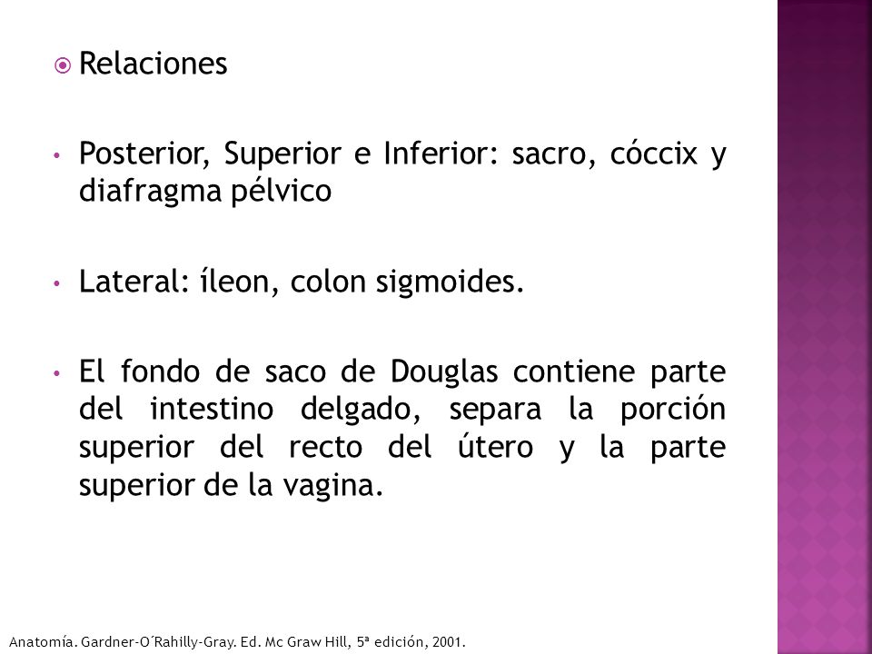 Posterior, Superior e Inferior: sacro, cóccix y diafragma pélvico