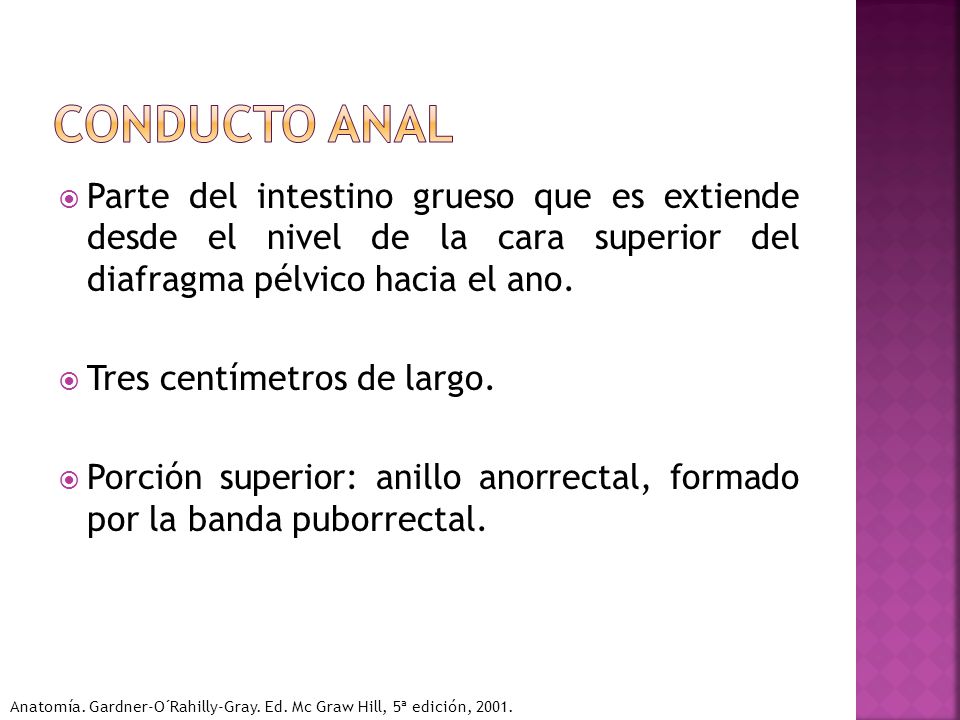 Conducto anal Parte del intestino grueso que es extiende desde el nivel de la cara superior del diafragma pélvico hacia el ano.