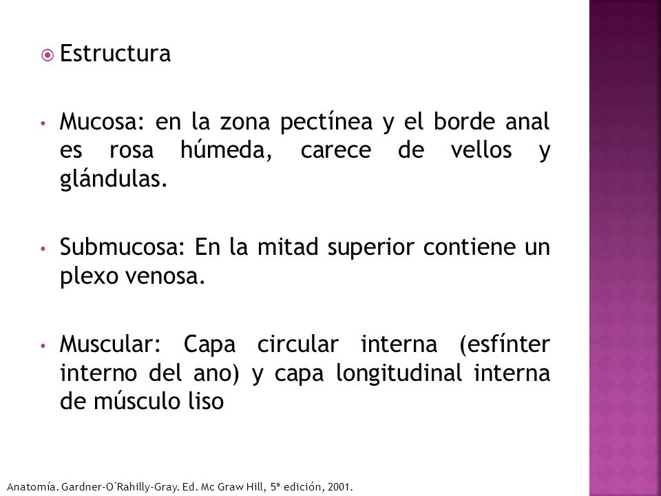 Submucosa: En la mitad superior contiene un plexo venosa.