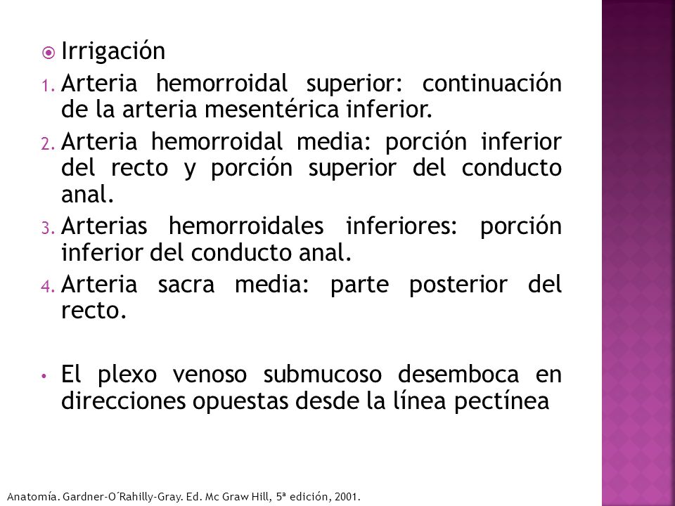 Arterias hemorroidales inferiores: porción inferior del conducto anal.