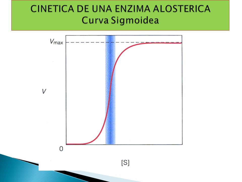 CINETICA DE UNA ENZIMA ALOSTERICA Curva Sigmoidea