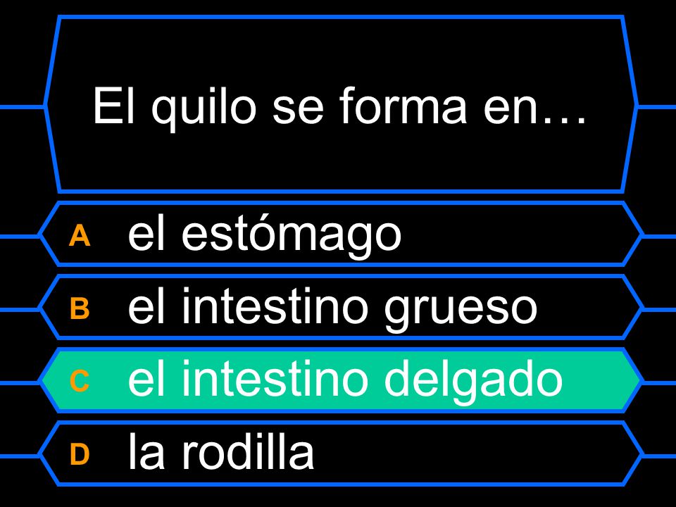 El quilo se forma en… A el estómago B el intestino grueso