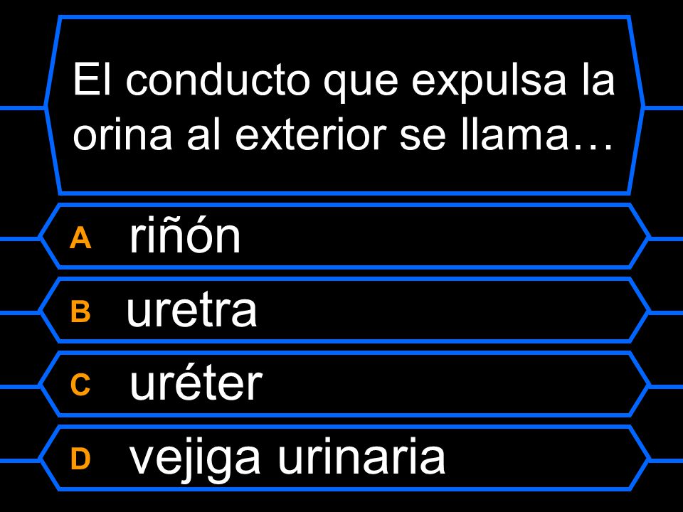 El conducto que expulsa la orina al exterior se llama…