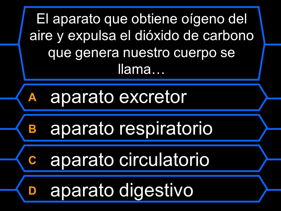 B aparato respiratorio C aparato circulatorio D aparato digestivo