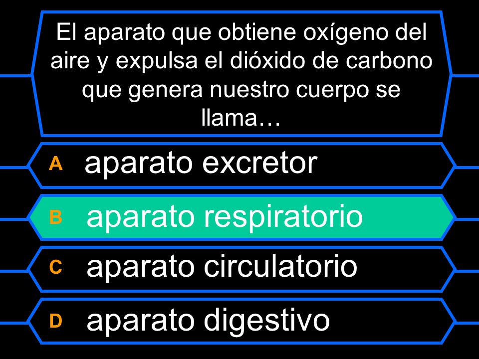 B aparato respiratorio C aparato circulatorio D aparato digestivo