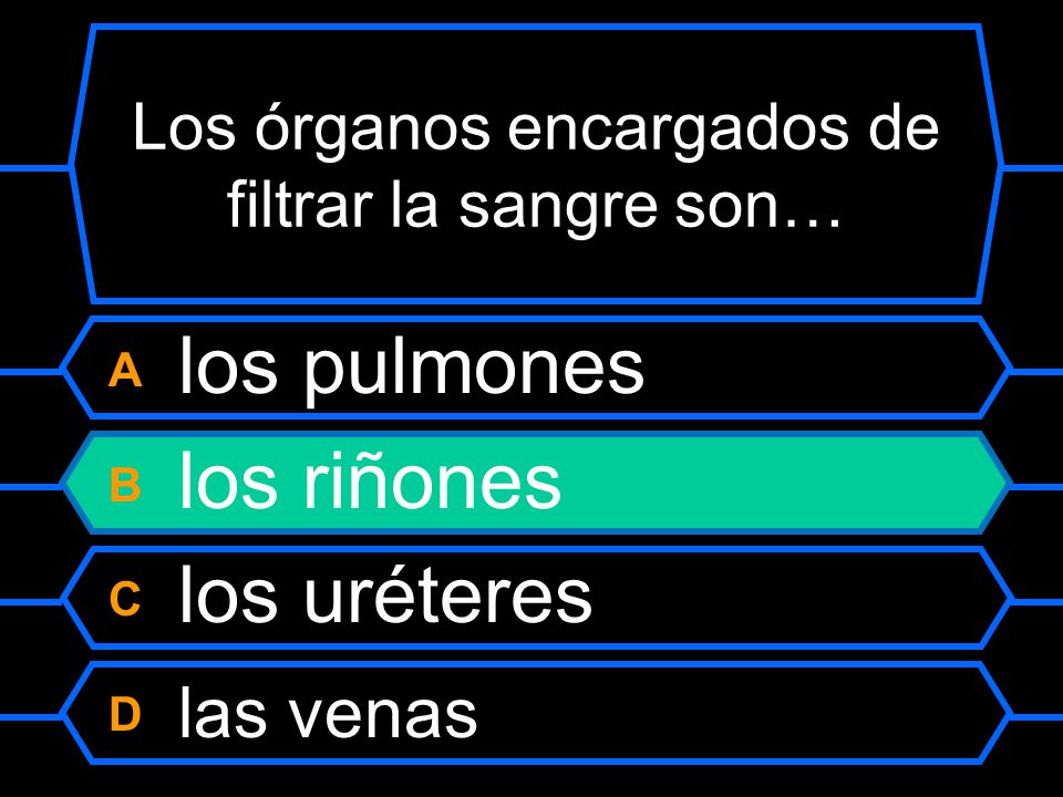 Los órganos encargados de filtrar la sangre son…