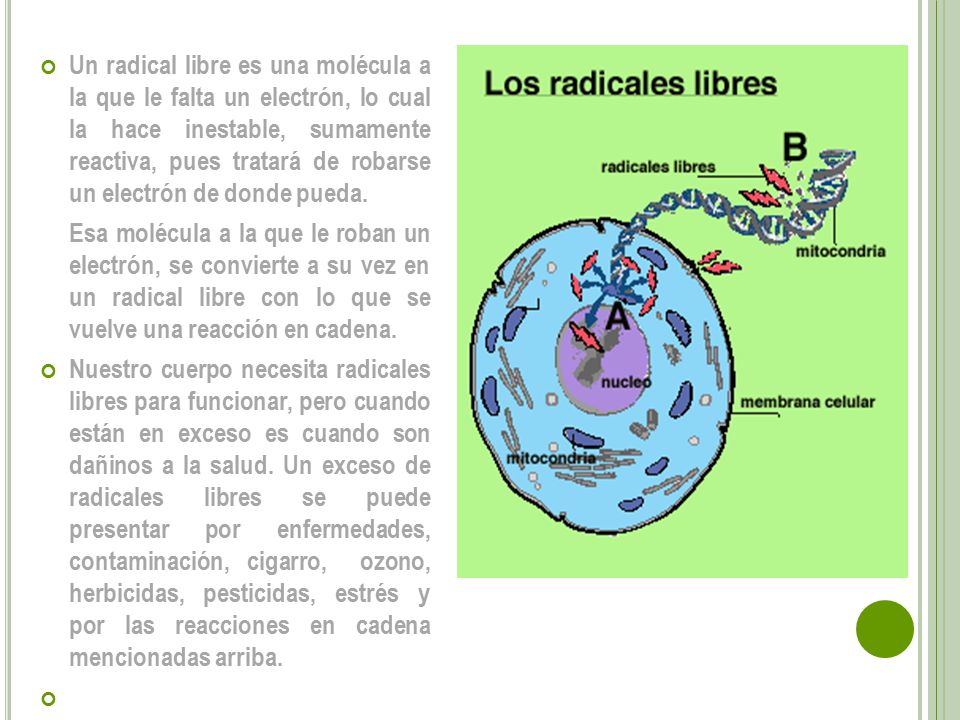 Un radical libre es una molécula a la que le falta un electrón, lo cual la hace inestable, sumamente reactiva, pues tratará de robarse un electrón de donde pueda.