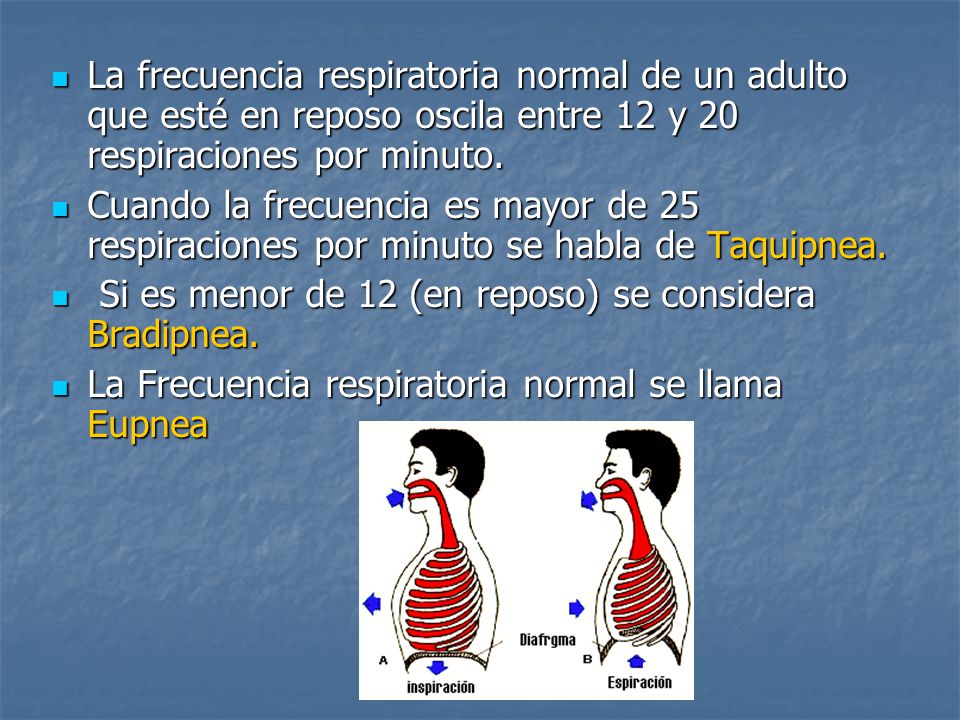 La frecuencia respiratoria normal de un adulto que esté en reposo oscila entre 12 y 20 respiraciones por minuto.