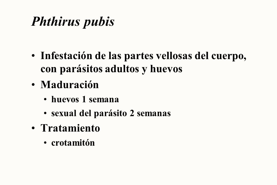 Phthirus pubis Infestación de las partes vellosas del cuerpo, con parásitos adultos y huevos. Maduración.