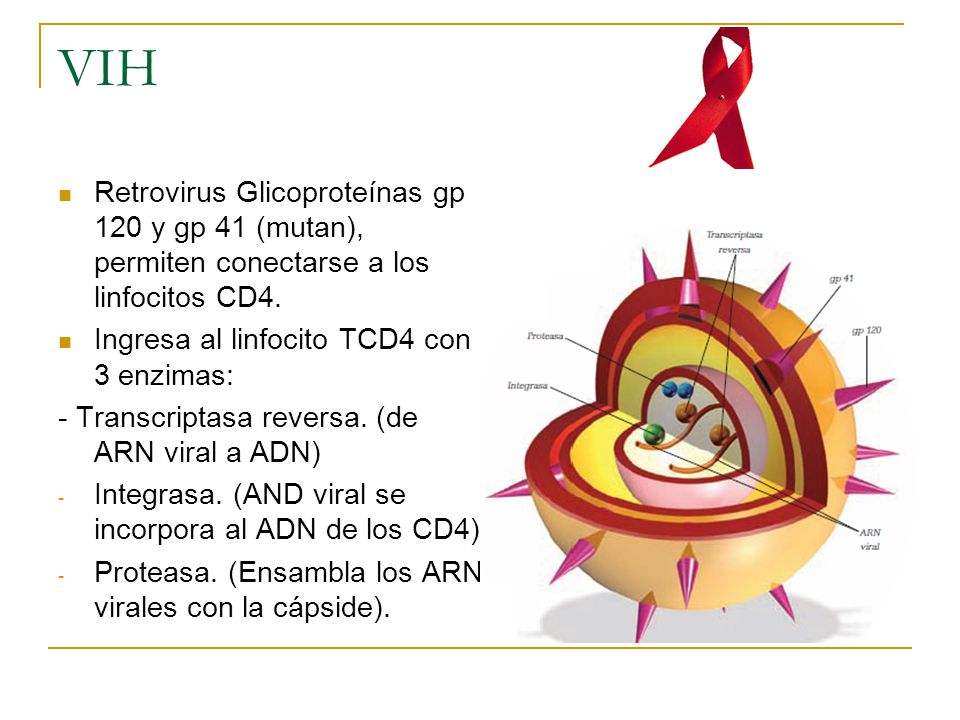 VIH Retrovirus Glicoproteínas gp 120 y gp 41 (mutan), permiten conectarse a los linfocitos CD4. Ingresa al linfocito TCD4 con 3 enzimas: