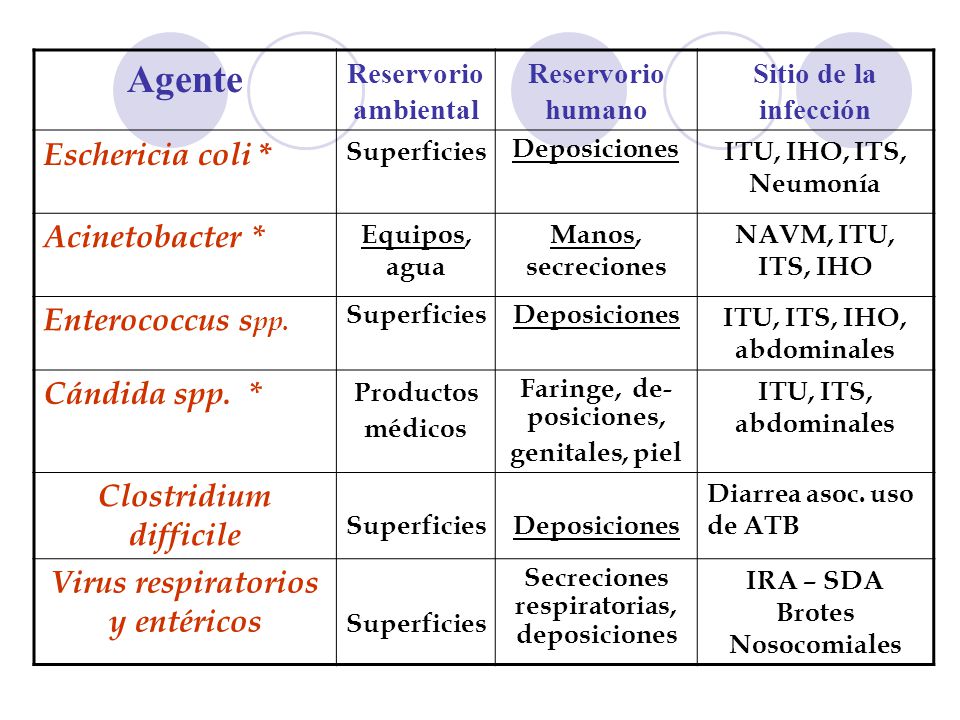 Agente Eschericia coli * Acinetobacter * Enterococcus spp.
