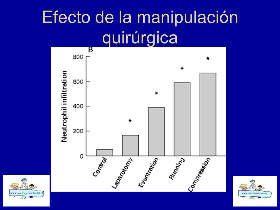 Efecto de la manipulación quirúrgica