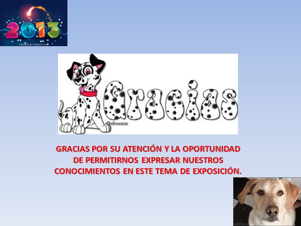 GRACIAS POR SU ATENCIÓN Y LA OPORTUNIDAD DE PERMITIRNOS EXPRESAR NUESTROS CONOCIMIENTOS EN ESTE TEMA DE EXPOSICIÓN.