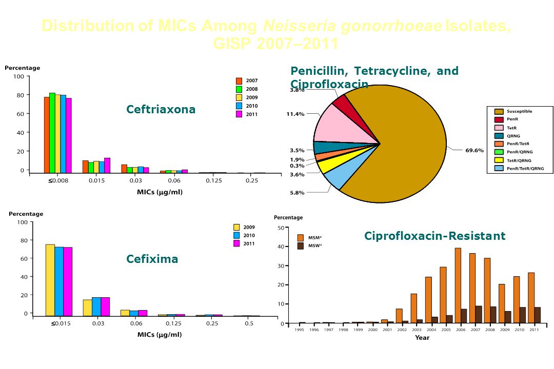 Distribution of MICs Among Neisseria gonorrhoeae Isolates, GISP 2007–2011