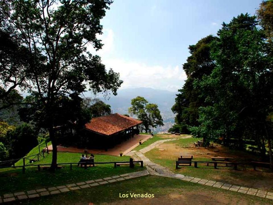 Los Venados