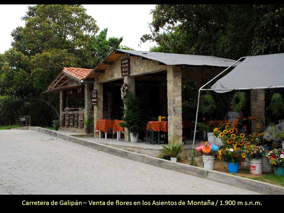 Carretera de Galipán – Venta de flores en los Asientos de Montaña / 1
