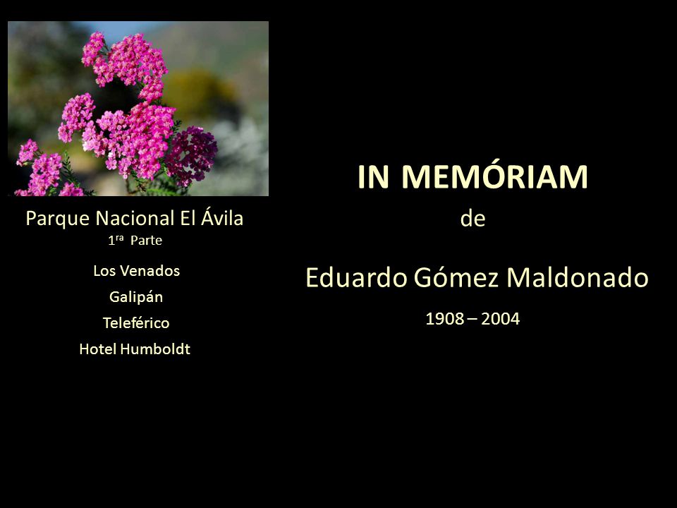 in memóriam Eduardo Gómez Maldonado de Parque Nacional El Ávila