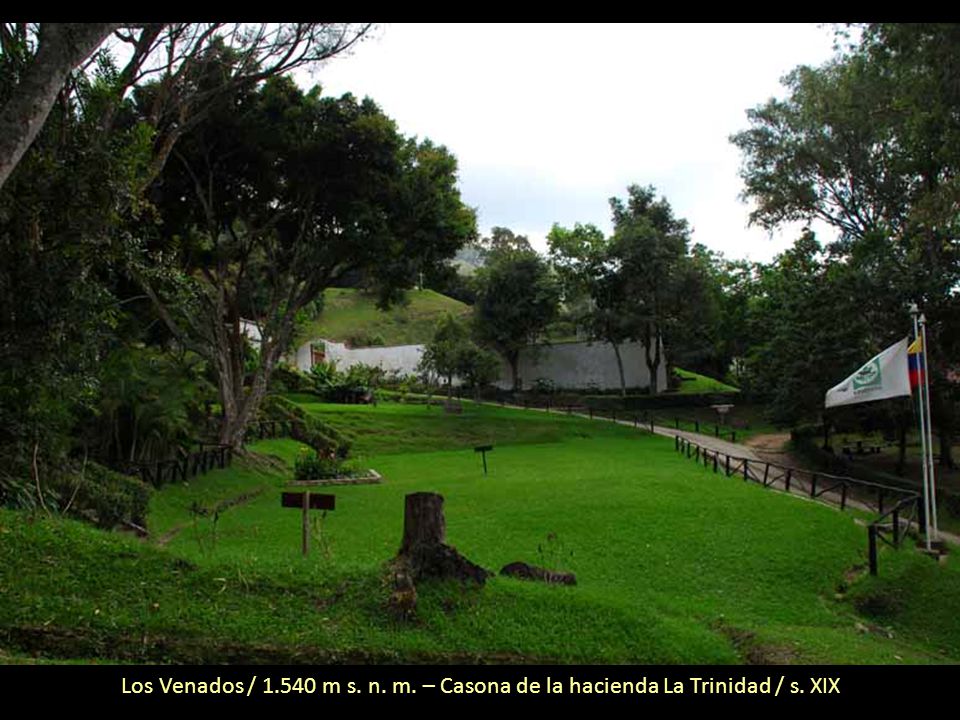 Los Venados / m s. n. m. – Casona de la hacienda La Trinidad / s. XIX