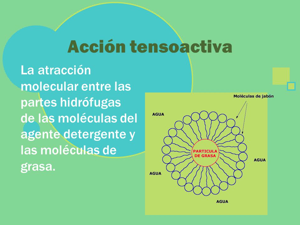 Acción tensoactiva La atracción molecular entre las partes hidrófugas de las moléculas del agente detergente y las moléculas de grasa.
