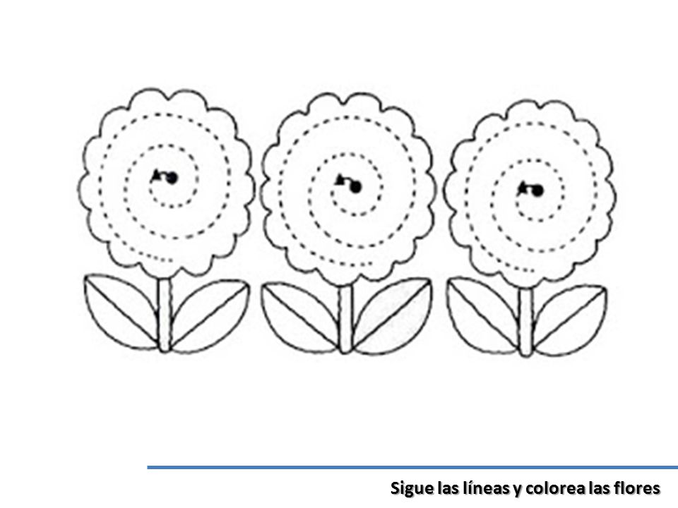Sigue las líneas y colorea las flores