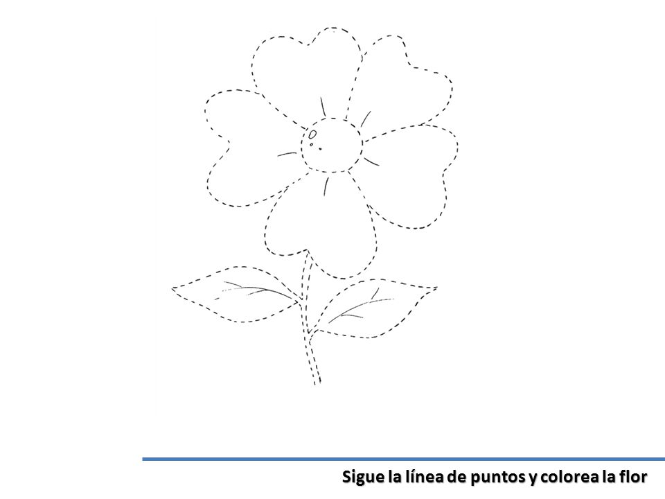 Sigue la línea de puntos y colorea la flor