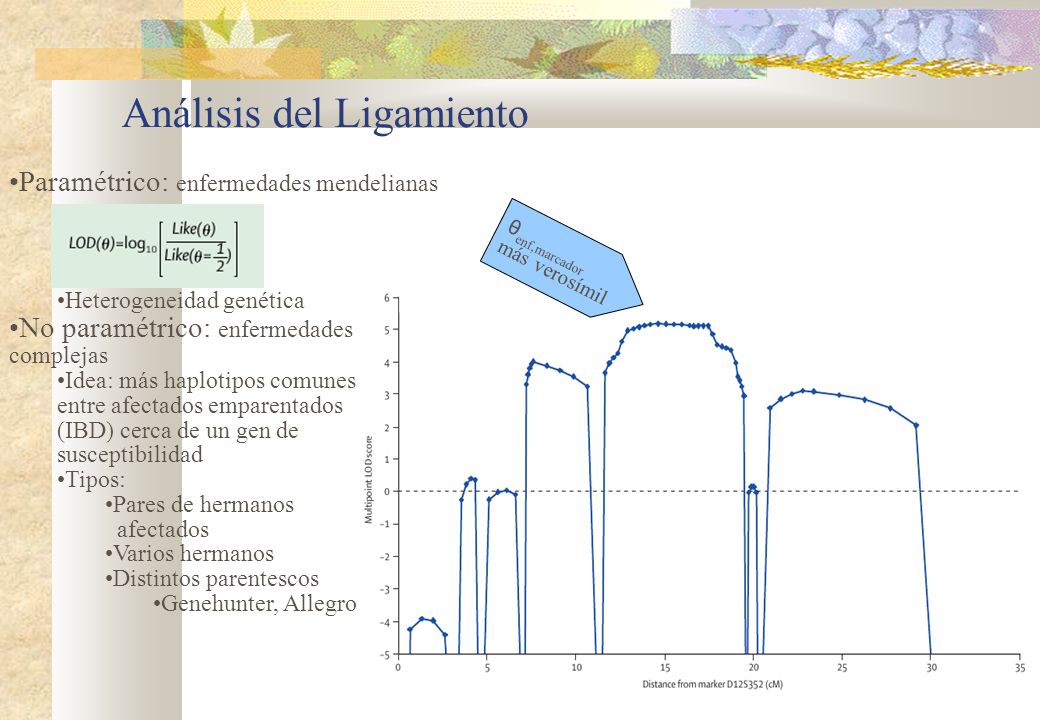 Análisis del Ligamiento