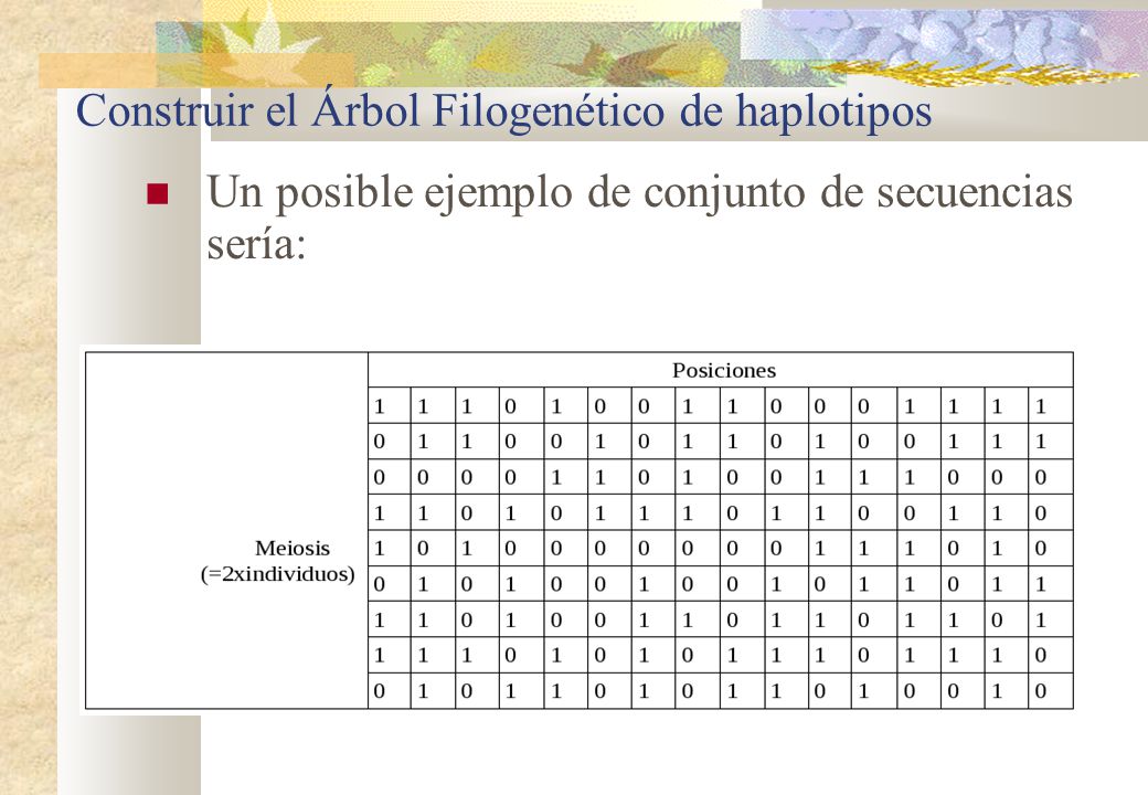 Construir el Árbol Filogenético de haplotipos