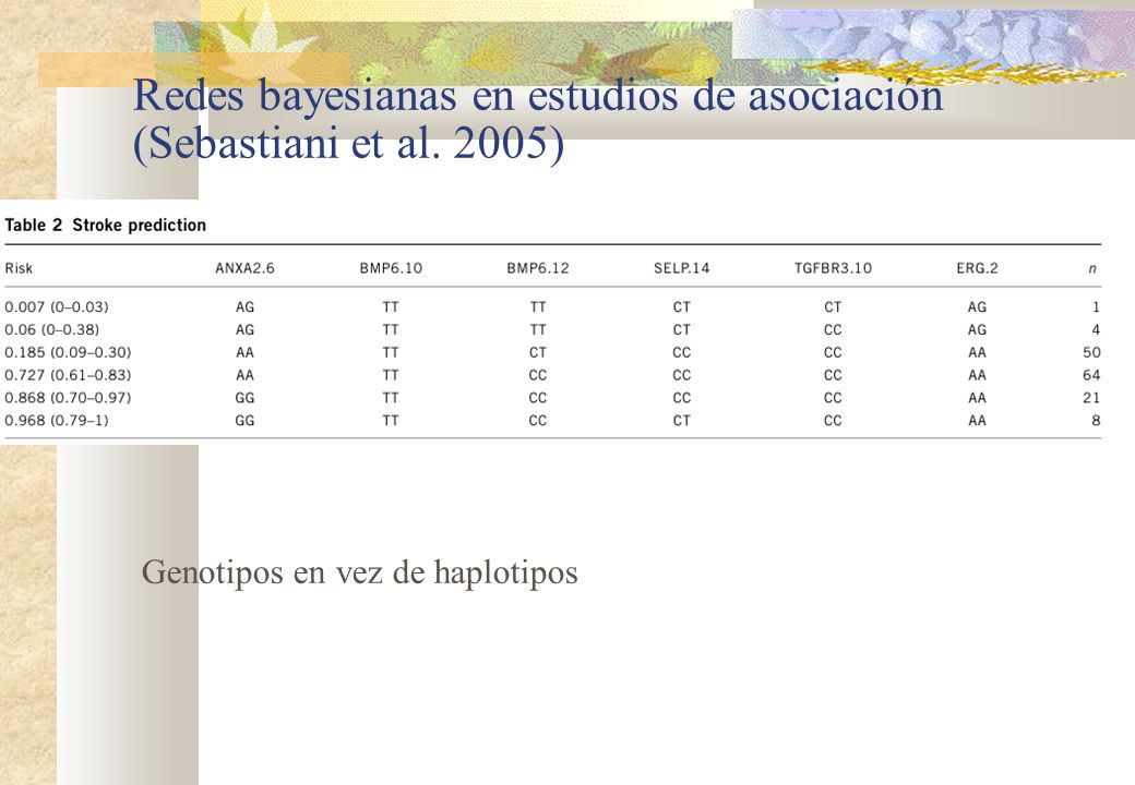 Redes bayesianas en estudios de asociación (Sebastiani et al. 2005)