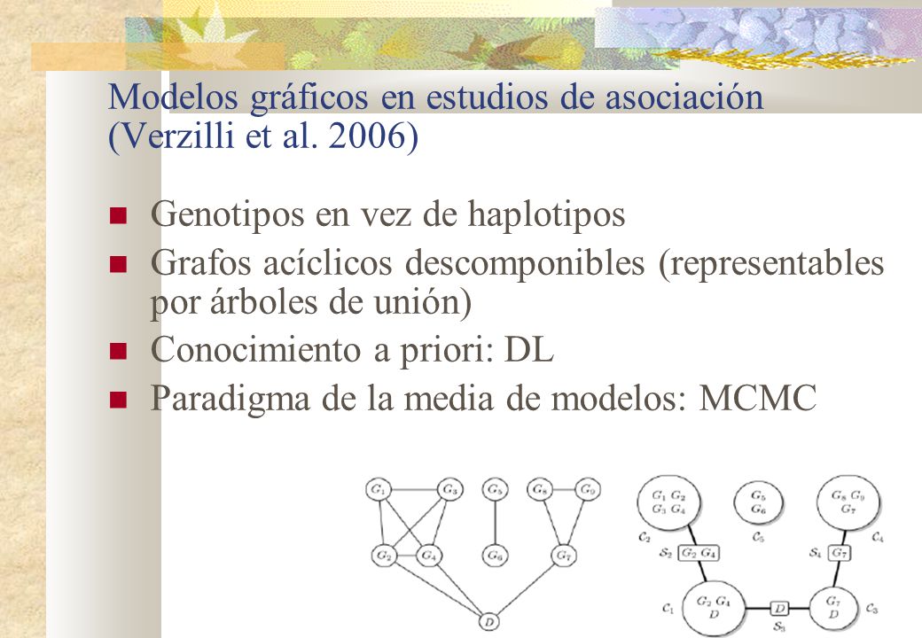 Modelos gráficos en estudios de asociación (Verzilli et al. 2006)